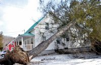 Les forts vents font des dégâts en Estrie